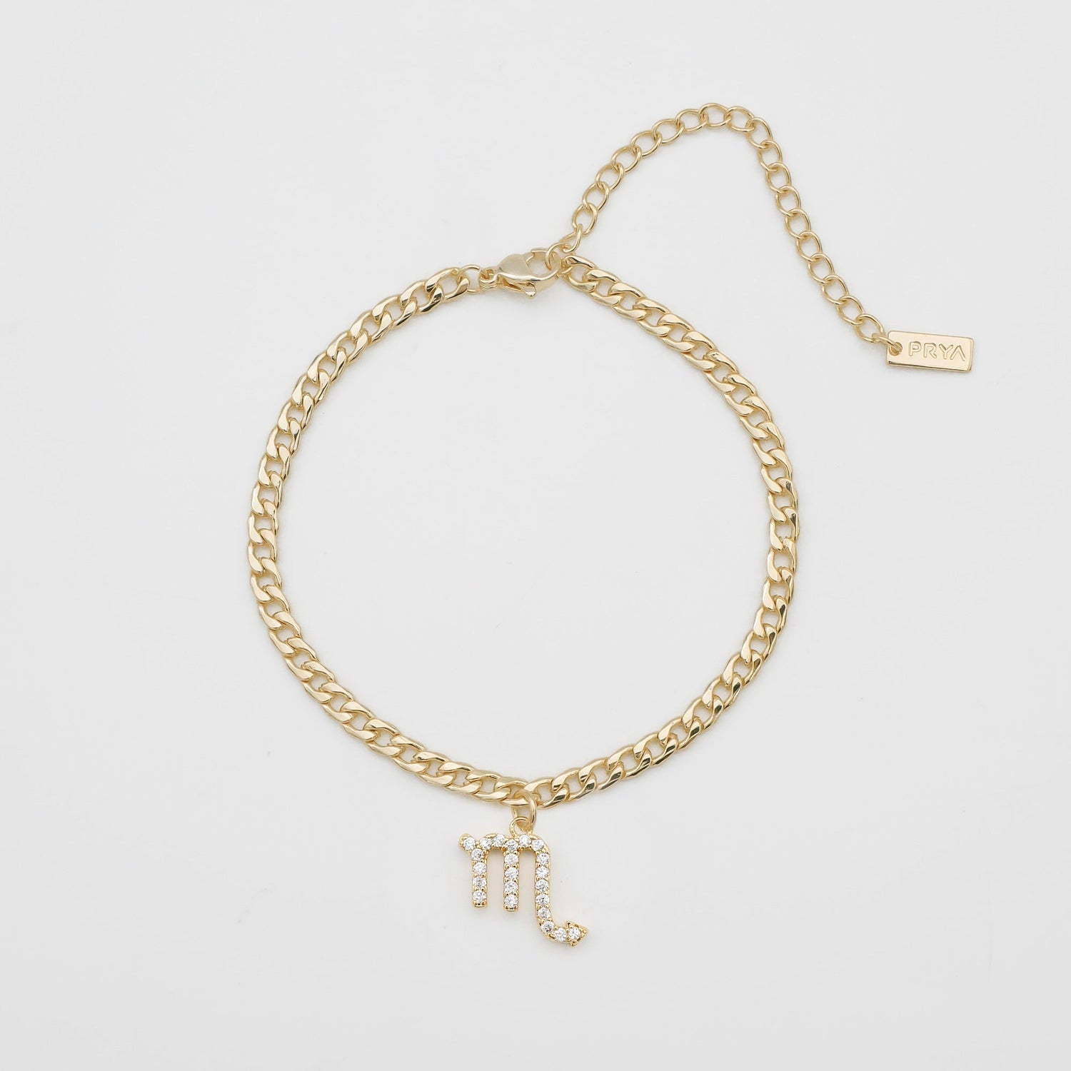 Pave Zodiac Symbol Anklet