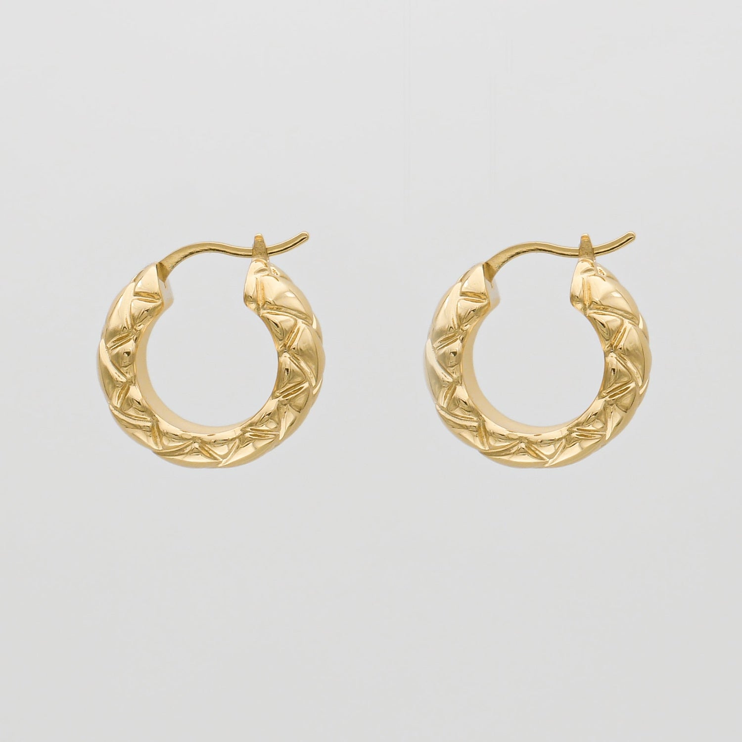 Kyla Hoop Earrings